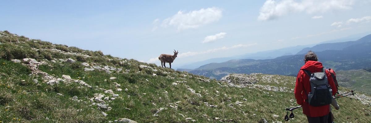 Vercors